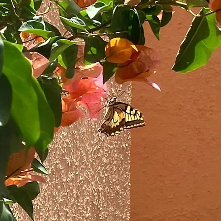 Hébergement de vacances Piedra Verde Almería